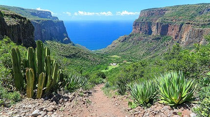 Agave Trails| Scent Your Way | Made To Order | Home Scents | Wax