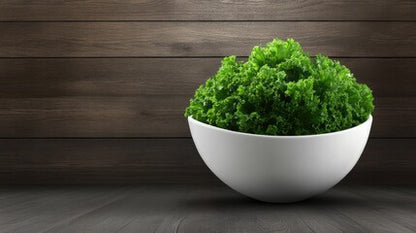 NO SH!T Ultra Concentrated Odor Neutralizer |Crisp Washed Kale| Home, Bathroom & More | Funky Odors Don’t Stand a Chance | Bye Bye Stank | Odor Assassin – Freshness That Lasts for Days!