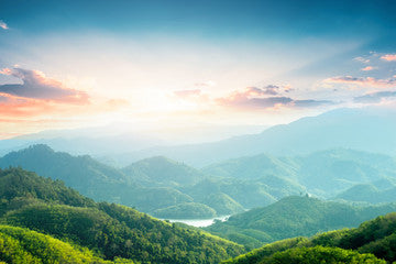Green Horizon | Scent Your Way | Made To Order | Home Scents | Wax