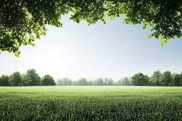 Meadow MIst | Scent Your Way | Made To Order | Home Scents | Wax